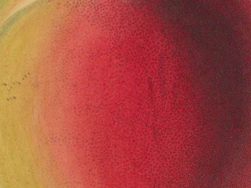 Detail of our first image, Bellegarde peach, showing stipple technique, from John Lindley, Pomologia Britannica, 1841 (Linda Hall Library)