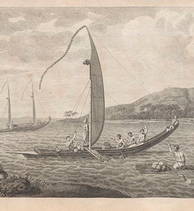 Sailing canoes in Tahiti, as drawn on Cook’s first voyage, in John Hawkesworth, <i>An Account of the Voyages</i>, 1773 (Linda Hall Library)
