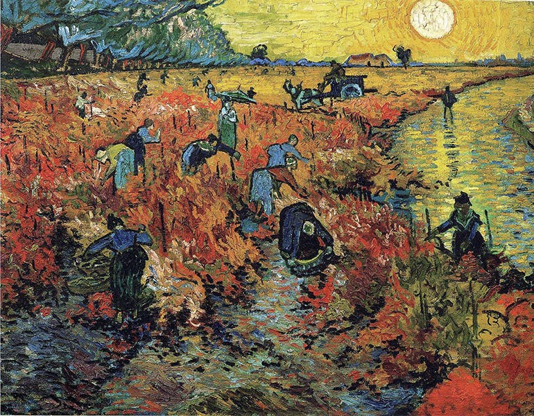 Red Vineyard at Arles, oil on canvas, by Vincent van Gogh, 1888, Pushkin State Museum of Fine Arts, Moscow (Wikimedia commons)