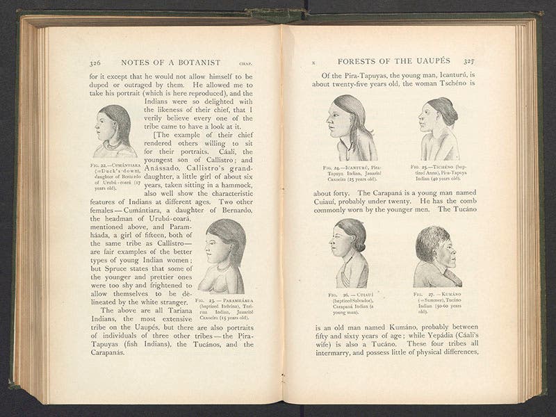 Individuals from various native tribes of the Amazon basin, sketches by Richard Spruce, in Notes of a Botanist, 1908 (Linda Hall Library)