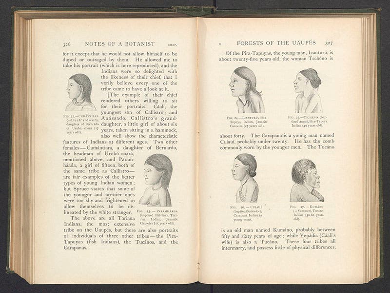 Individuals from various native tribes of the Amazon basin, sketches by Richard Spruce, in Notes of a Botanist, 1908 (Linda Hall Library)