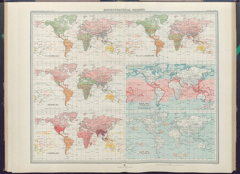 Historical zoogeographical map, showing six attempts between 1858 and 1899 to divide the world into major zoological regions, in John George Bartholomew, Atlas of Zoogeography, 1911 (Linda Hall Library)