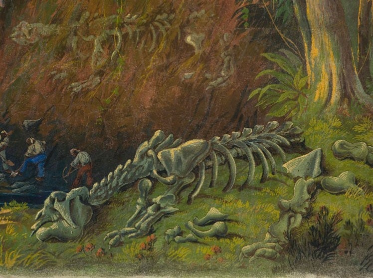 Detail of third image, unearthed skeleton of the Missouri Leviathan on the bank (slam.org)