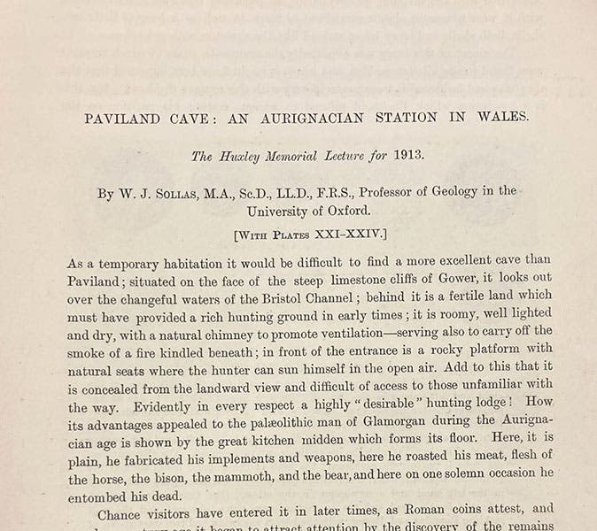 First paragraph of “Paviland Cave: An Aurignacian station in Wales,” by William J. Sollas, Journal of the Royal Anthropological Institute, vol. 43, p. 325, 1913 (Linda Hall Library)