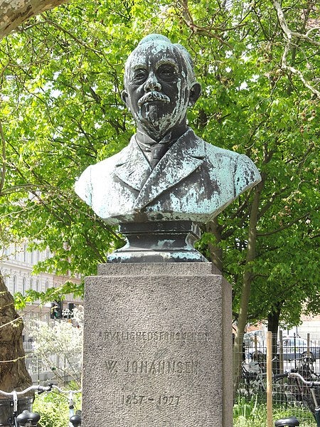 Bust of Wilhelm Johannsen, Botanical Laboratory of Copenhagen (Wikimedia commons)
