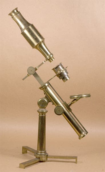 “Microscope no. 6,” built by George Adams, Jr., ca 1785 (Golub Collection, University of California, Berkeley)