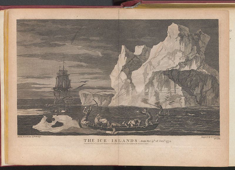 “The Ice Islands,” engraving after William Hodges, in A Voyage towards the South Pole and Round the World, by James Cook, vol. 1, plate 30, 4th ed., 1784 (Linda Hall Library)