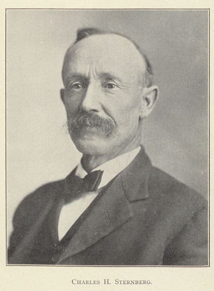 Portrait of Charles H. Sternberg, photograph frontispiece to The Life of a Fossil Hunter, by Charles H. Sternberg, 1909 (author’s collection)