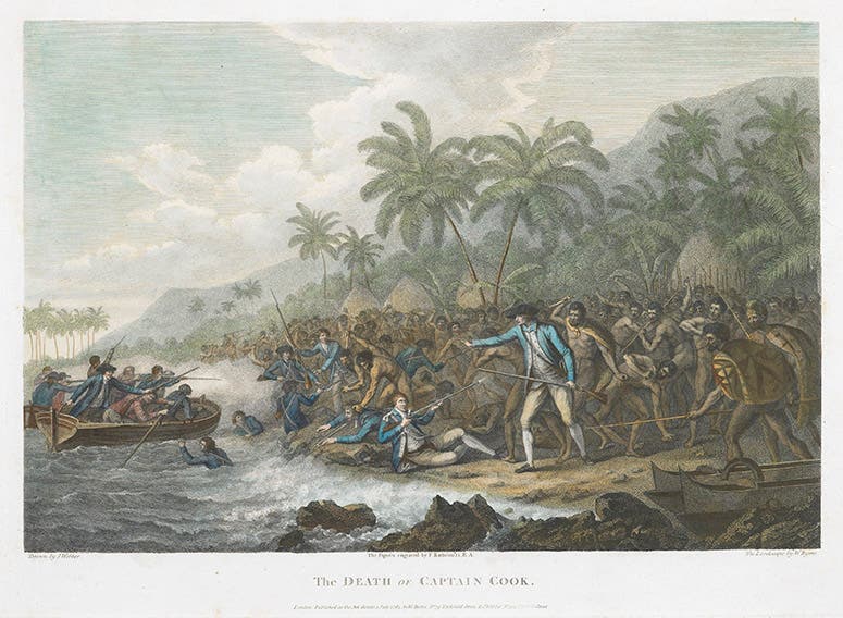 The Death of Captain Cook, hand-colored engraving after painting by John Webber, ca 1785, Museum of New Zealand (collections.tepapa.govt.nz)
