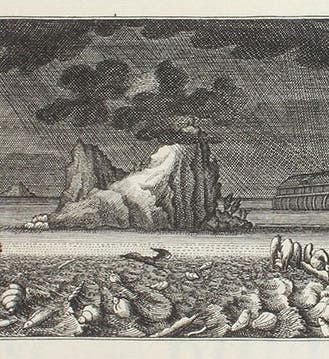 Title-page vignette, showing the Flood waters rising and shells being fossilized, engraving after a drawing by Johann Melchior Füssli, in Herbarium diluvianum, by Johann Jakob Scheuchzer, 1709 (Linda Hall Library)