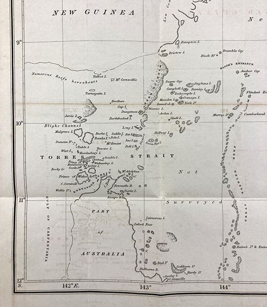 Detail of map of Torres Strait, showing the tip of Cape York. The island with “Wales” printed on it is Muralag, where Barbara Crawford Thompson was taken by Islanders after her shipwreck, folding engraving in Narrative of the Voyage of H.M.S. Rattlesnake, commanded by the late Captain Owen Stanley... during the years 1846-50, by John MacGillivray, vol. 1, 1852 (Linda Hall Library)
