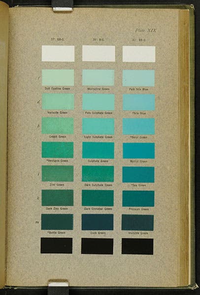 Swatches of various greens with names, plate 19 entire, Color Standards and Color Nomenclature, by Robert Ridgway, 1912 (Linda Hall Library)