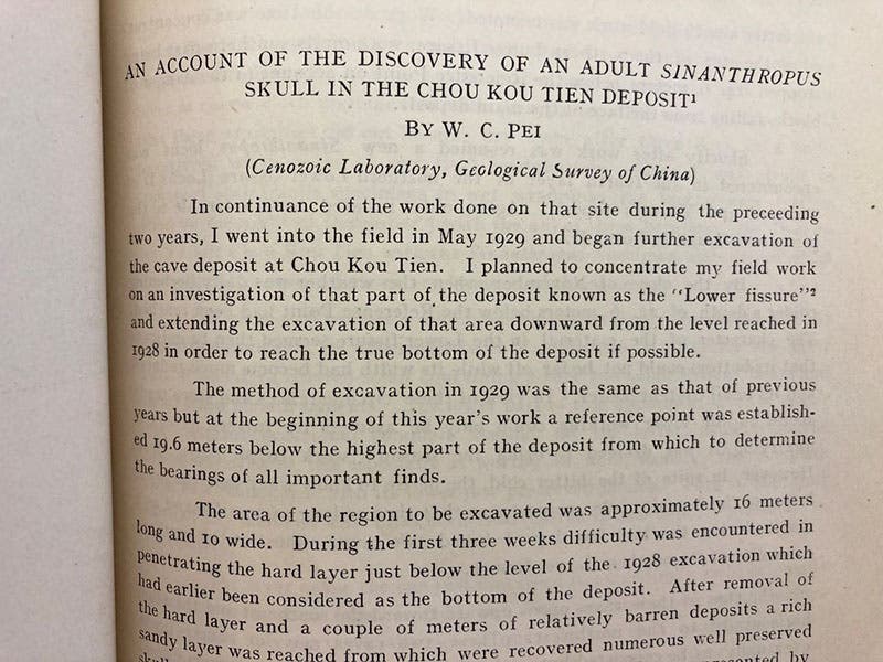 Detail of first page of paper by Pei Wenzhong, "An account of the discovery of an adult Sinathropus skull in the Chou Kou Tien deposit," Bulletin of the Geological Society of China, vol 8, 1929 (Linda Hall Library).