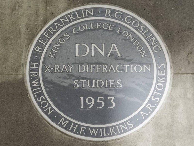 Plaque at Kings College, London, honoring Maurice Wilkins and the other four participants in the X-ray diffraction studies on DNA, 1950-53 (Wikimedia commons)