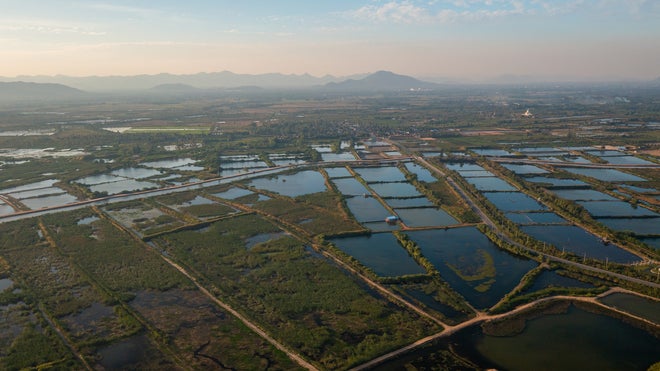 Hatchery seen from overhead