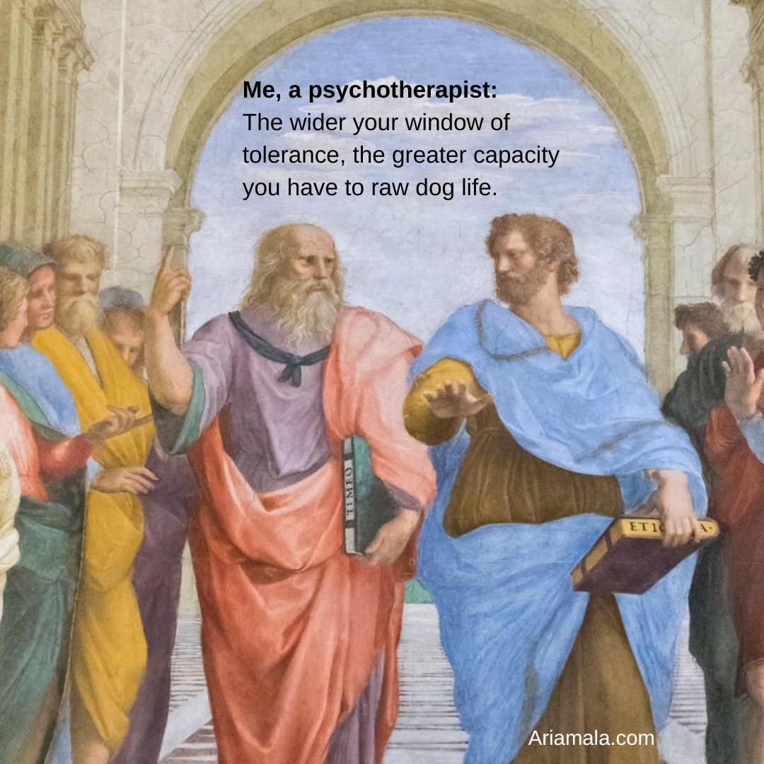 Meme of plato and Aristotle walking with text that reads: "Me, a psychotherapist: The wider your window of tolerance, the greater capacity you have to raw dog life."