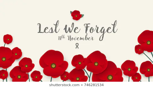 remembrance-day-concept-poppy-flower-260nw-746281534.jpg