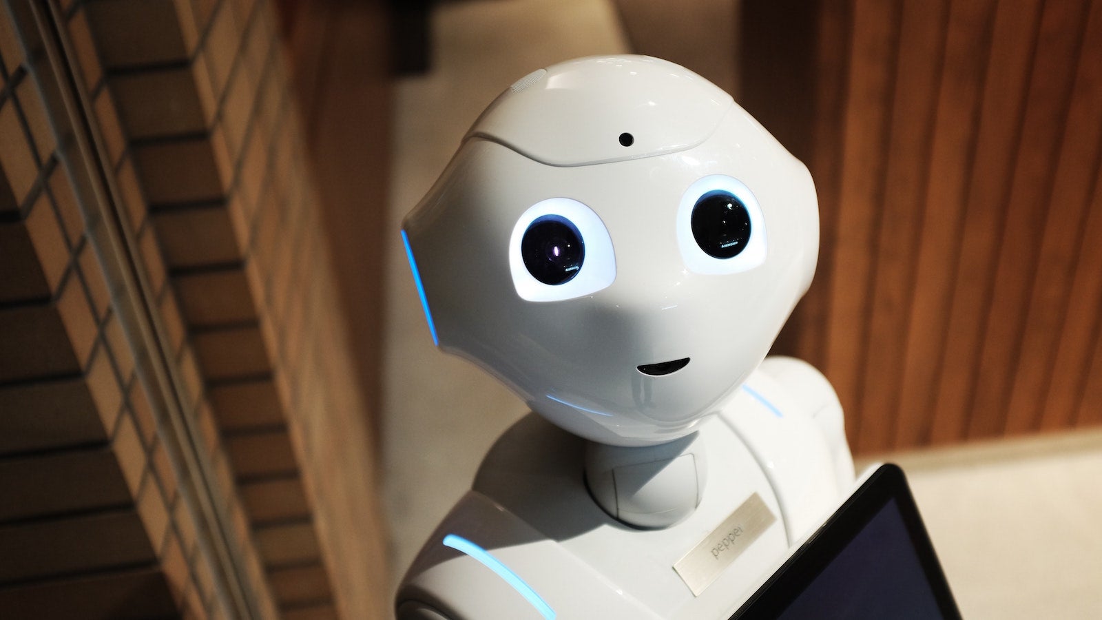 AI Robot