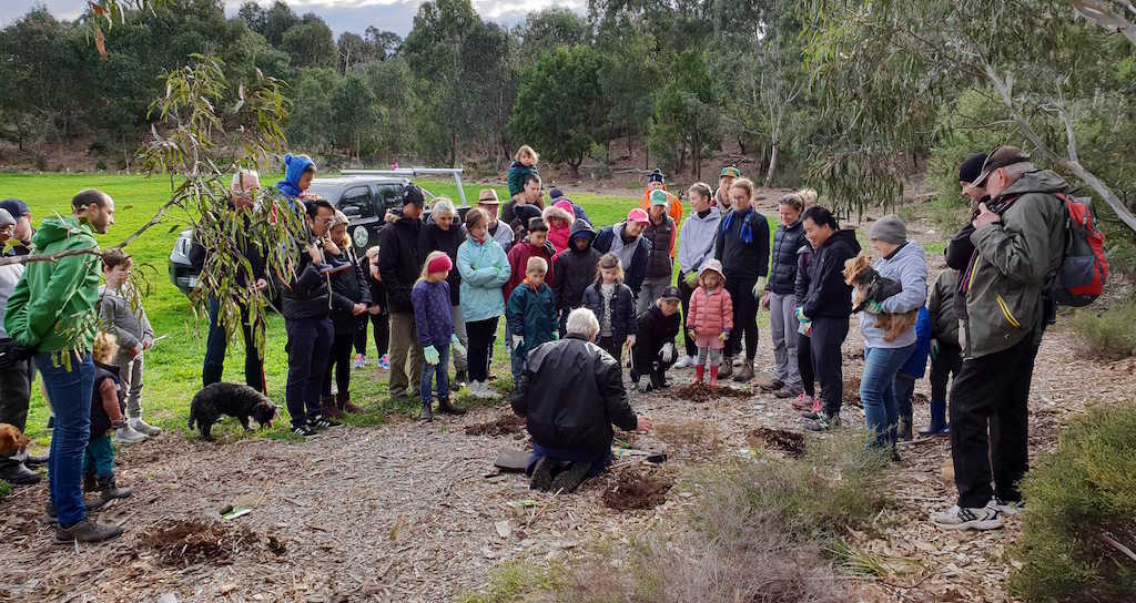 Tree planting group shot