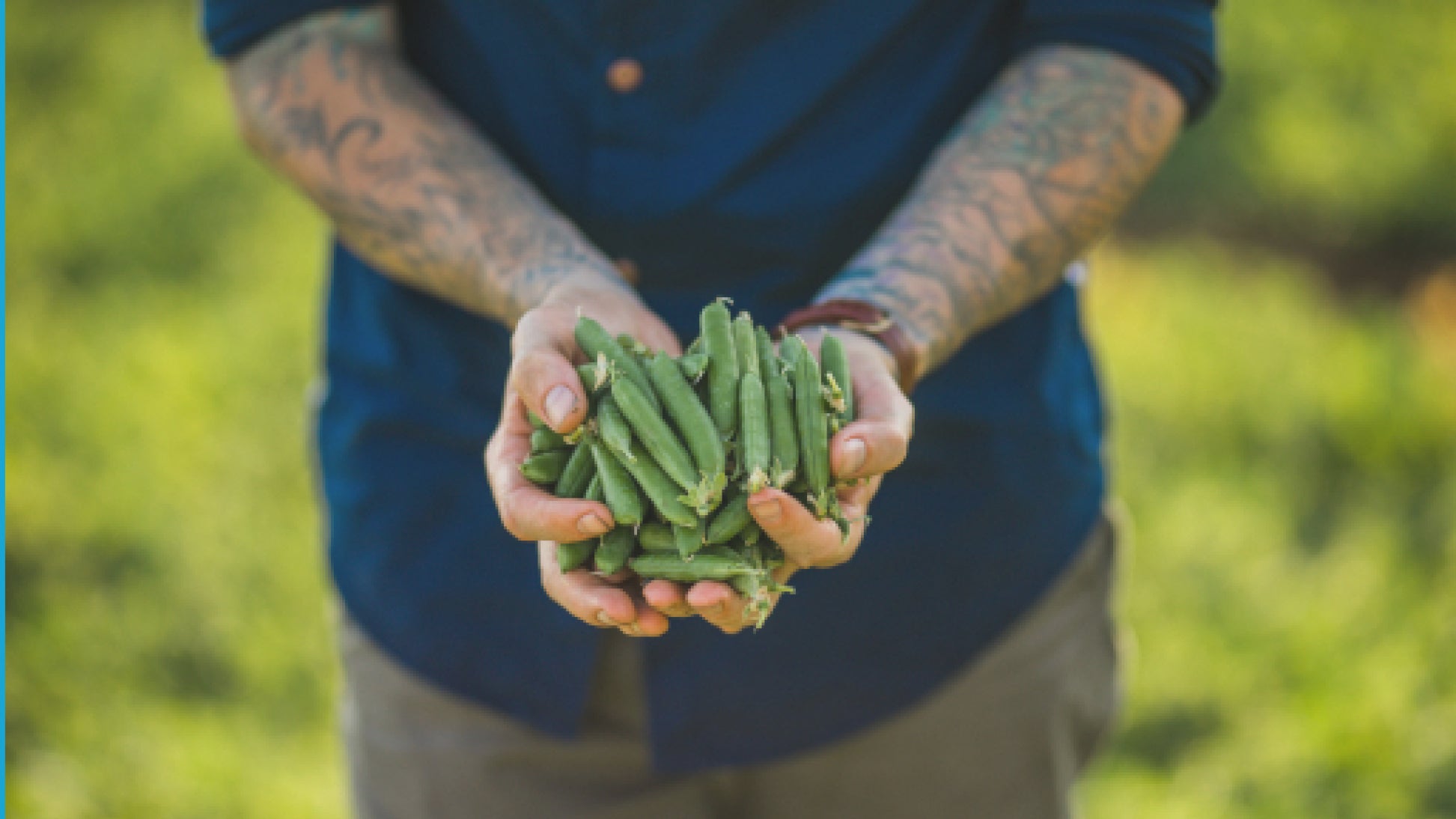 Picture of a farmer outdoors holding green beans for Simplot food production