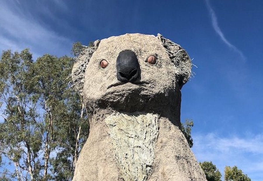 Giant scary koala