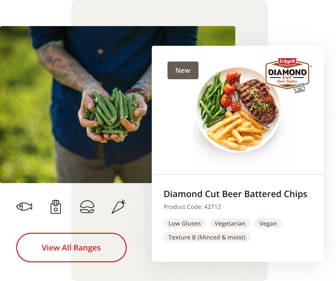 Picture of the Simplot interface showing meals available to order
