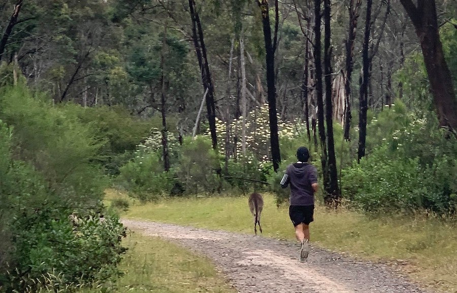 Tony running behind a kangaroo