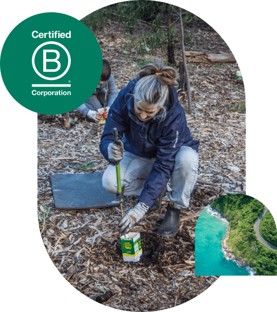 Luminary staff member helping to plant trees as part of our B Corp certification