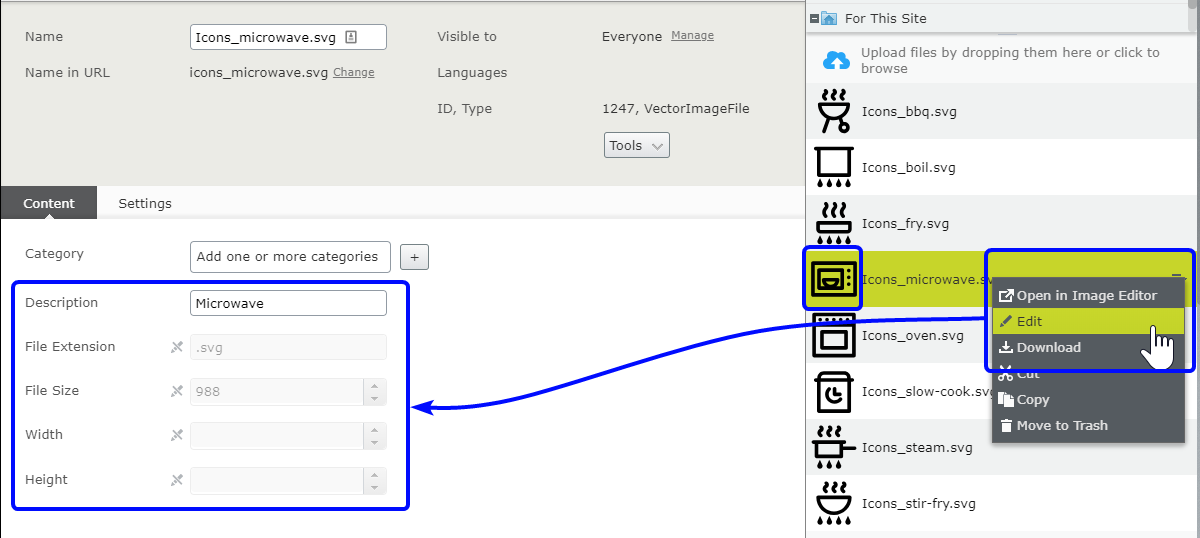 Episerver SVG Metadata Thumbails