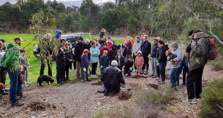 Luminary team tree planting day 2019 Melbourne