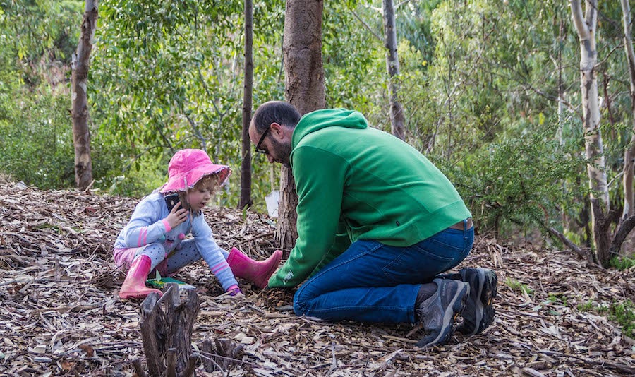 Luminary tree planting day
