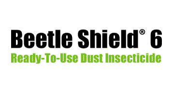 logo Beetle Shield 6