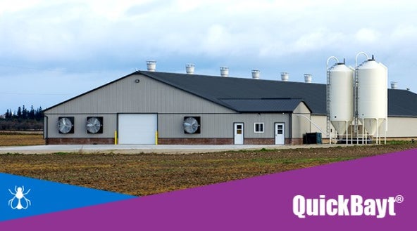 Animal Production Barn With QuickBayt Fly Control Logo Overlay