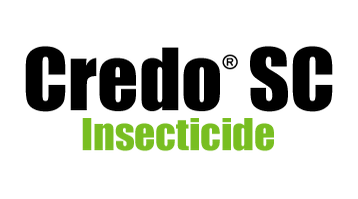logo Credo SC