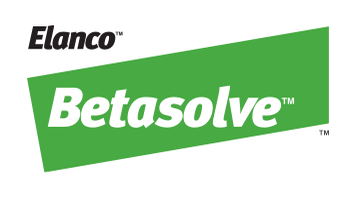 logo Betasolve