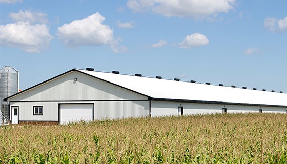 Livestock Barn Protected By Rabon Insecticide