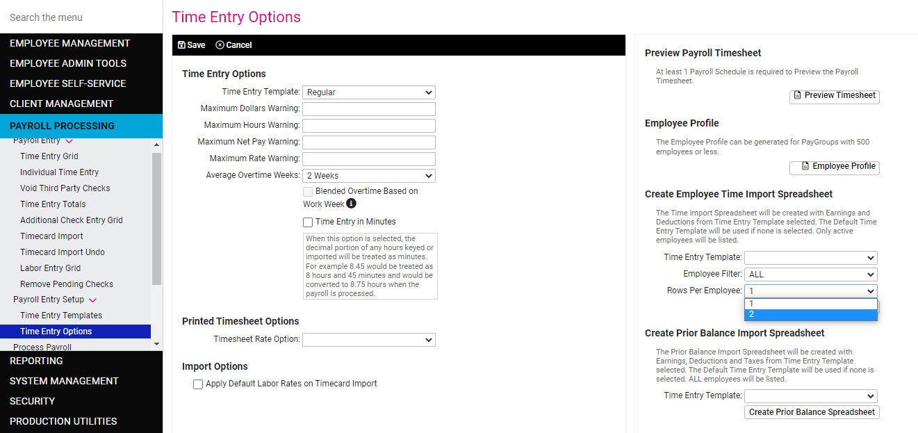 Time Entry Options