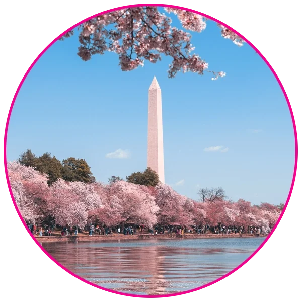 A view of the Washington Monument across the Tidal Basin.