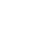 Scouts Logo Whiteout
