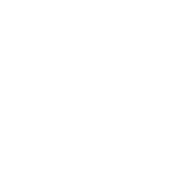NMBS Whiteout Logo