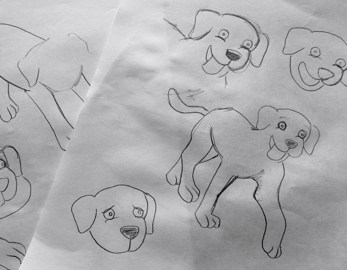 The Lincolnshire Puppy design concepts