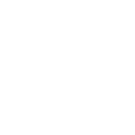 Wildlife Trusts Whiteout Logo
