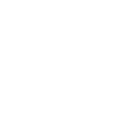 Visit Lincoln Logo Whiteout