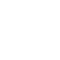 University of Lincoln Whiteout Logo