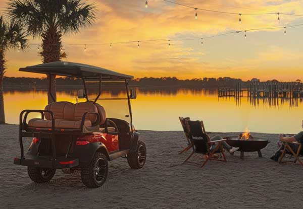 cart tour 4 passenger electric