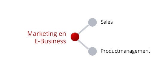 Marketing & E-business