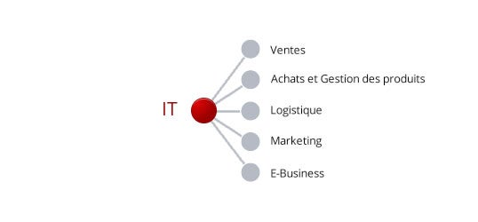 IT