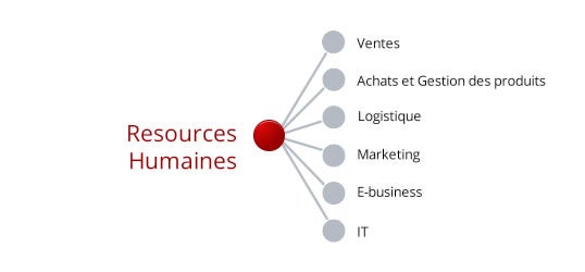 Ressources Humaines