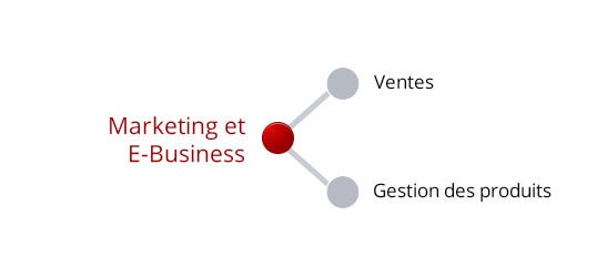 Marketing & E-business