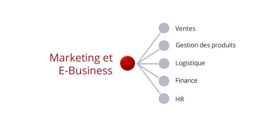 Marketing & E-business